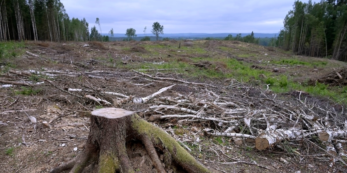 Sverige missar klimatmålen i nya budgeten.