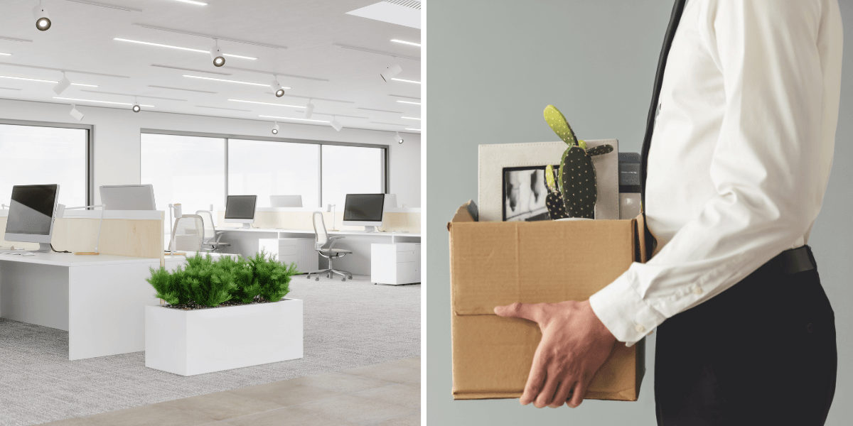 Myndigheter i USA decimeras under Trumps regering. (Foto: Canva)