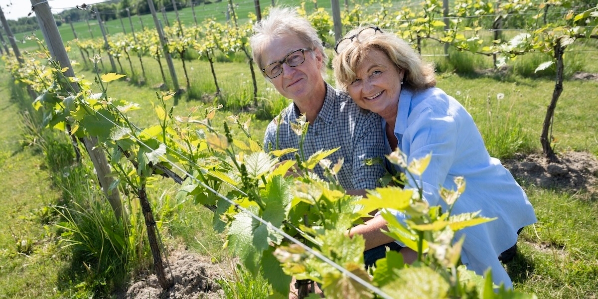 Selaöns Vingård ligger i Mälaren och bidrar till att göra Sverige till det nya vinlandet.