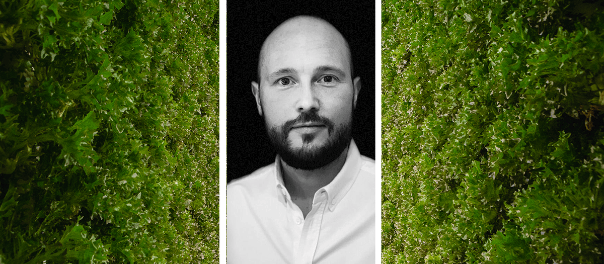 Daniel Schröder, Ljusgårdas kommersiella chef.