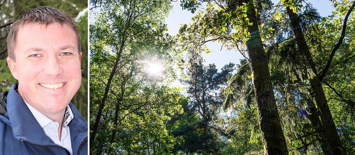 Filip Olsson, segmentschef för skog och lantbruk på Ludvig & Co.