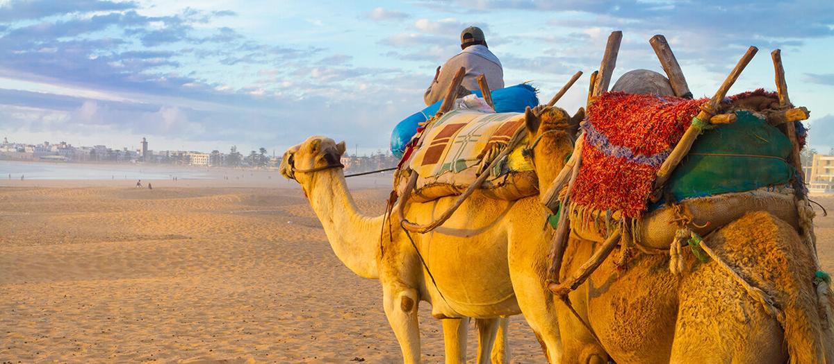 SAS återvänder till Afrika med flygningar till Agadir