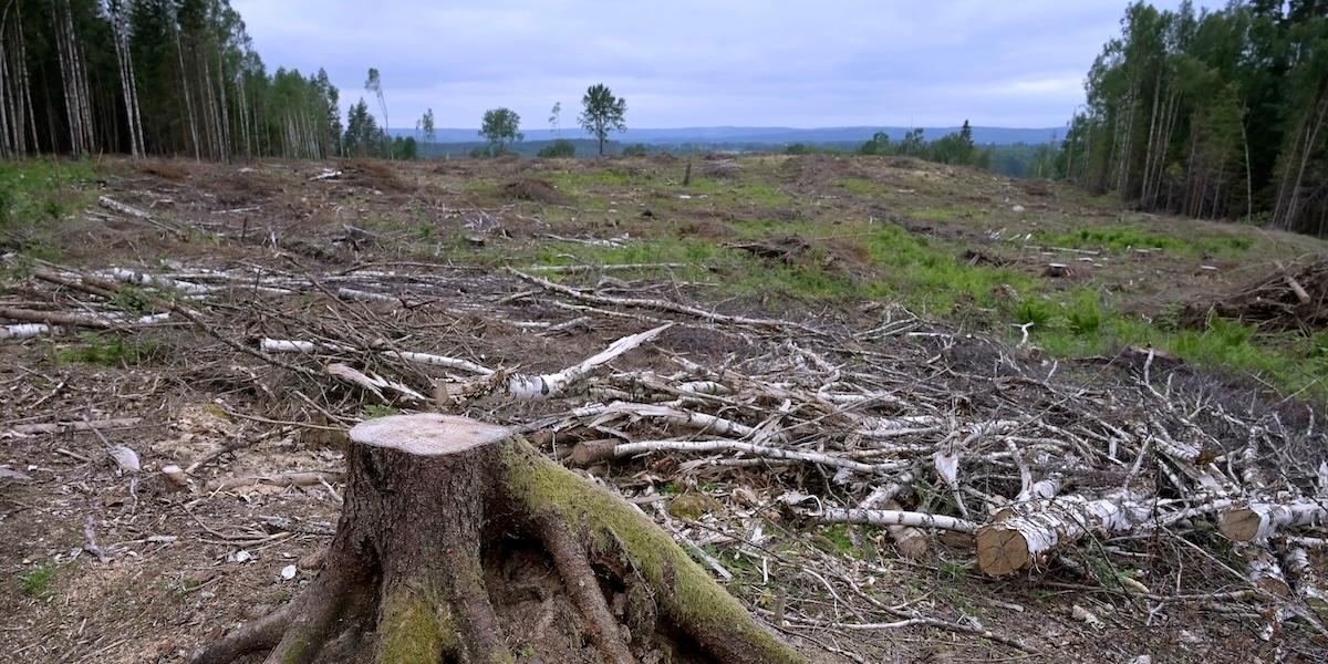 Sverige missar klimatmålen i nya budgeten.