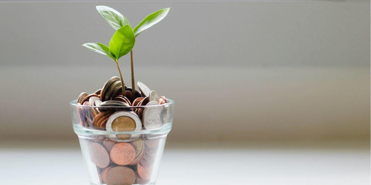 Fortsättningsfonder