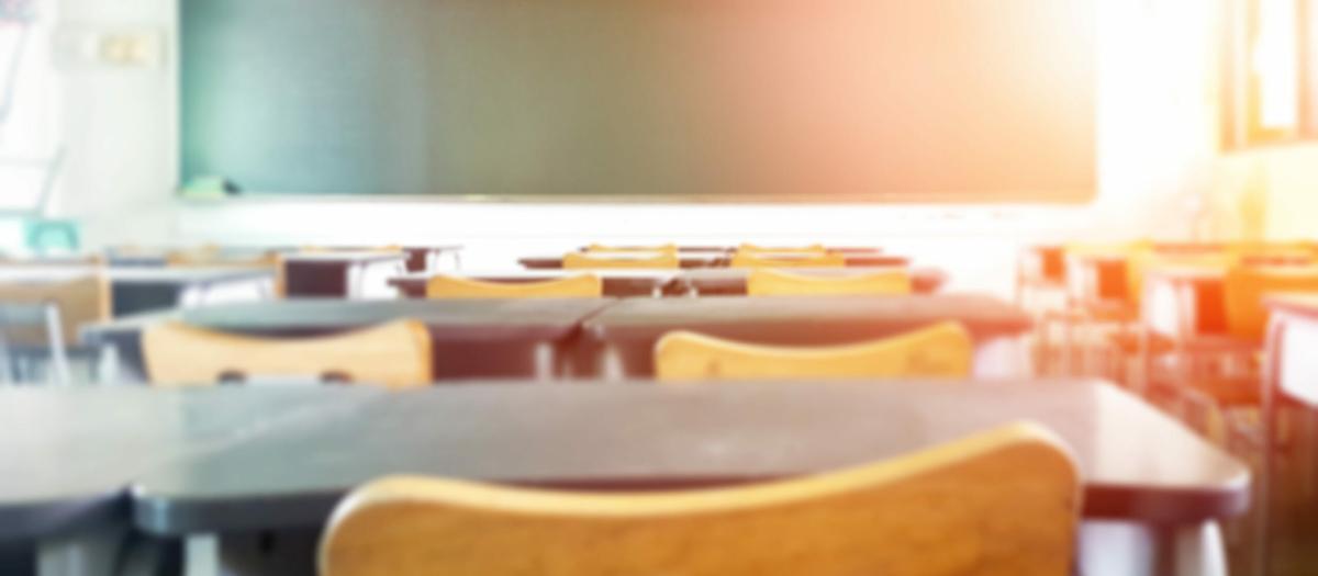 FOI ska kartlägga utländskt ägande inom skolan