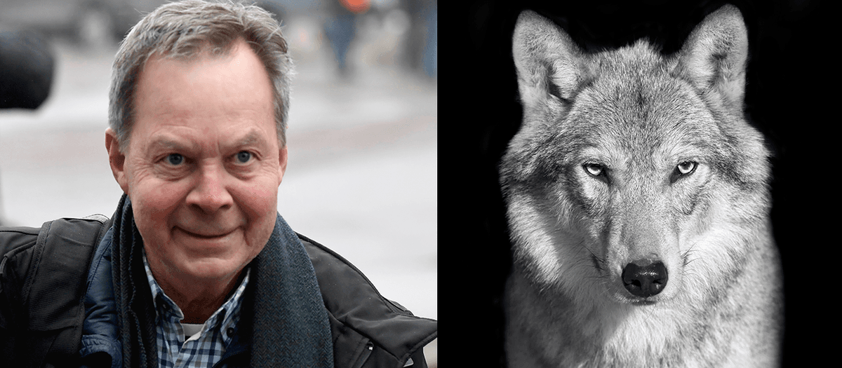 Karl Hedin har nu friats från misstankarna om jaktbrott även av Svea Hovrätt.