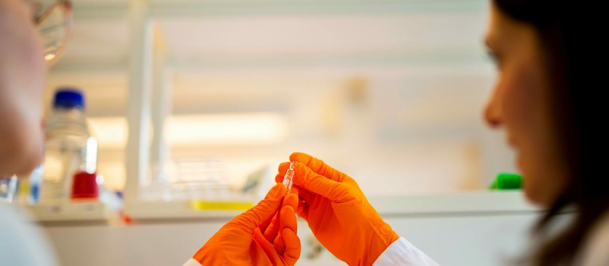 Bioarctics lecanemab godkänns i USA