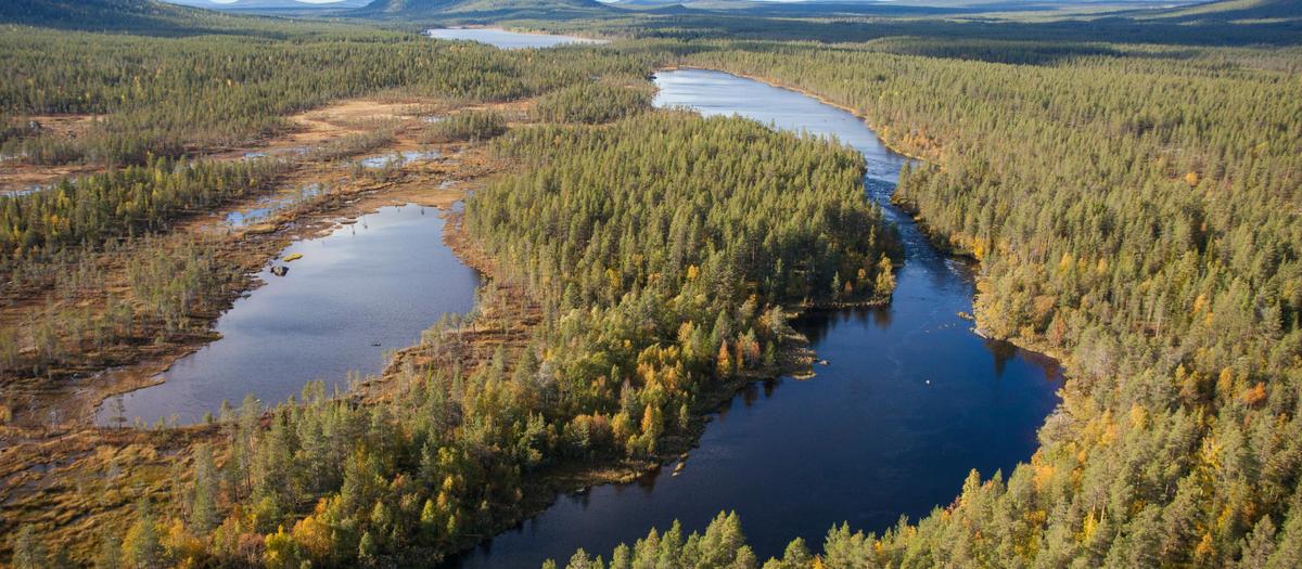Spångkojan, Norrbotten. Foto: Sveaskog