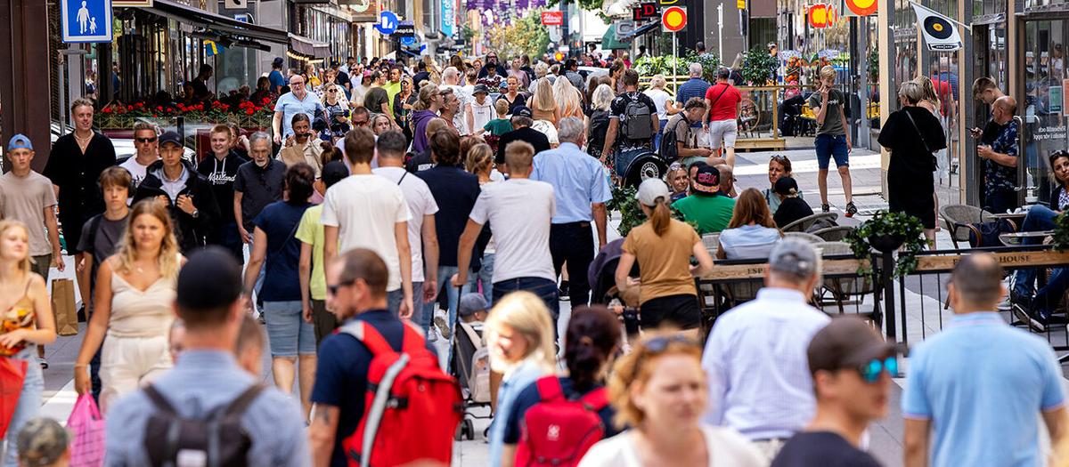 Skatteverket föredrar lägesbild före folkräkning