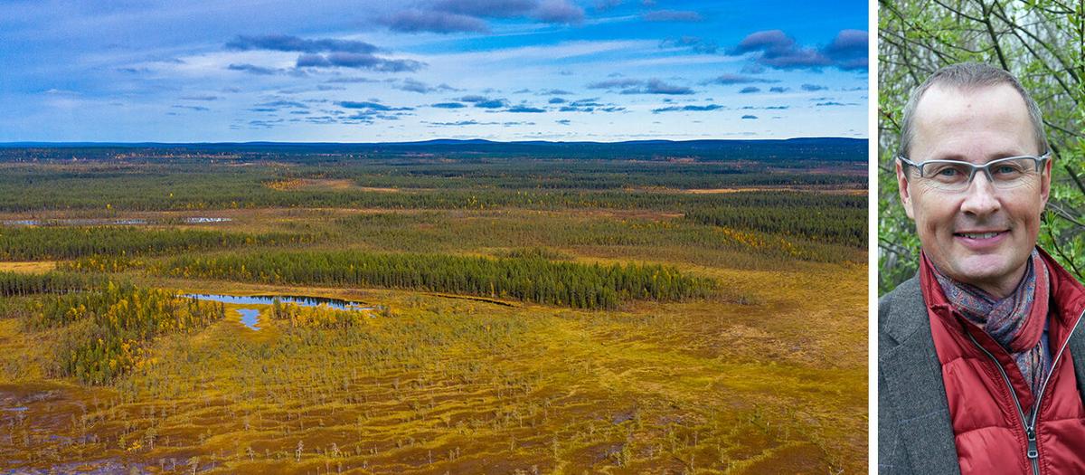 Magnus Emfel, chefsekonom på WWF.