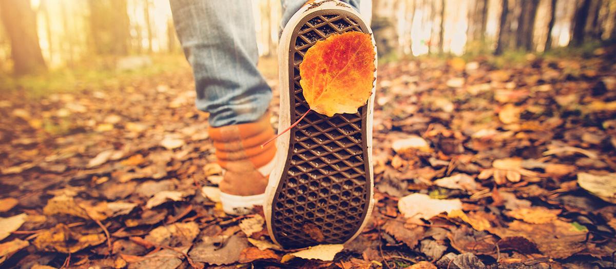 Så mycket sänker stegen din puls