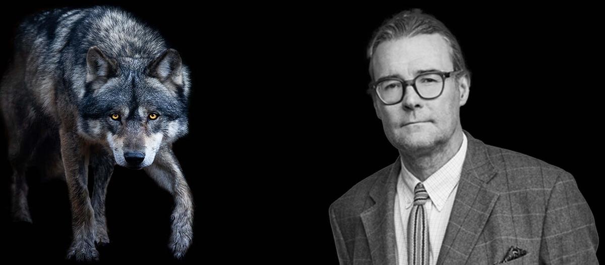 Vargen på väg mot den svenska fastighetsmarknaden