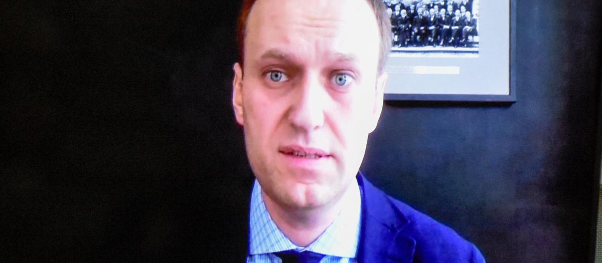 Aleksej Navalnyj. Foto: TT