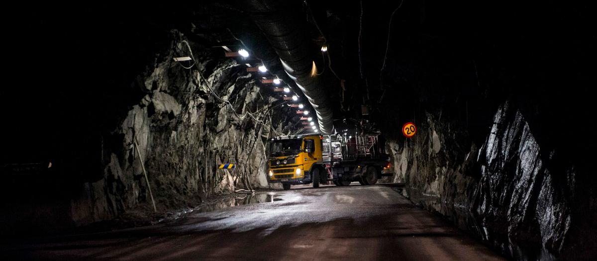 Jättehärva i Malmfälten sväller