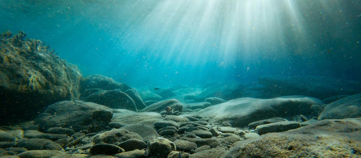 spionage på havsbotten i tech-kriget