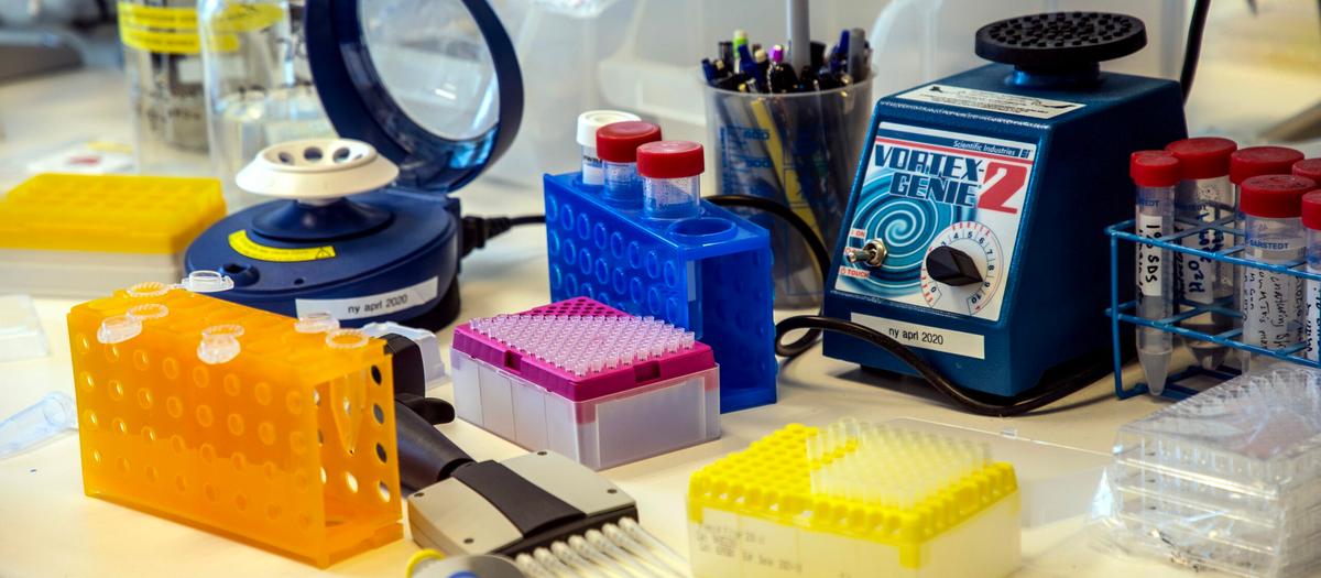 Bioarctic dubblade intäkterna: "Ser fram emot god tillväxt"