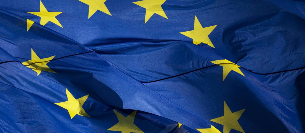 Företag larmar: Nya EU-krav hotar konkurrenskraften