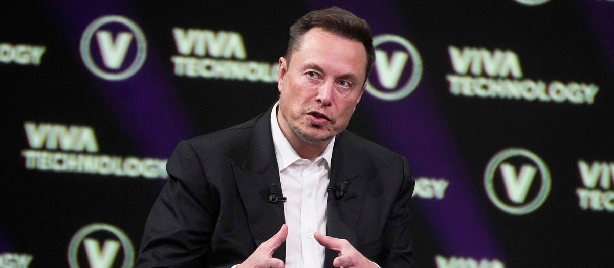 Musks förslag mot statligt slöseri stöds av bankjätte